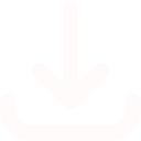 Download Icon